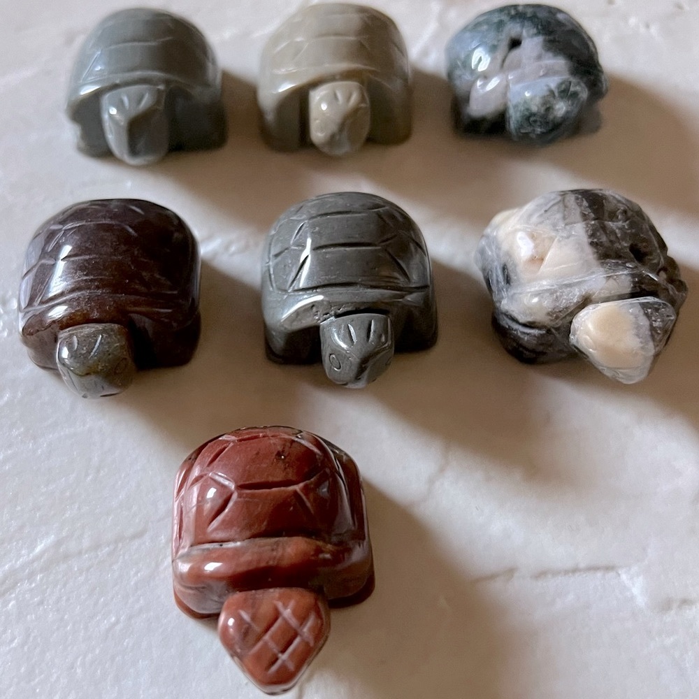 Turtle Carving - Picture 5 of 16